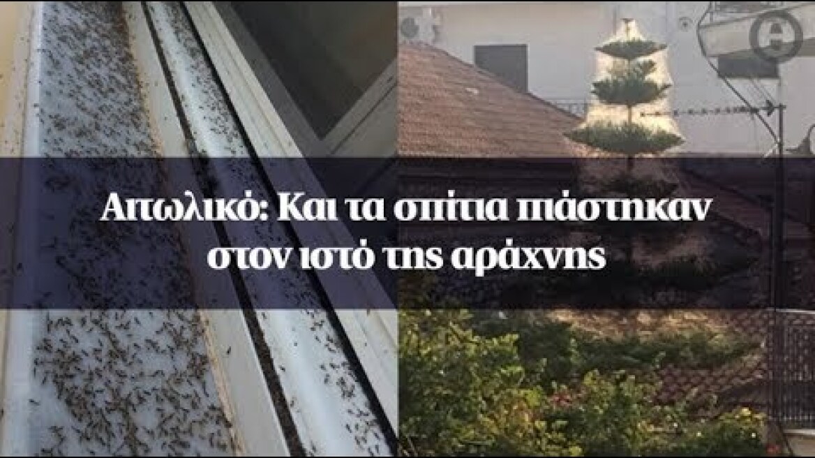 Αιτωλικό: Και τα σπίτια πιάστηκαν στον ιστό της αράχνης