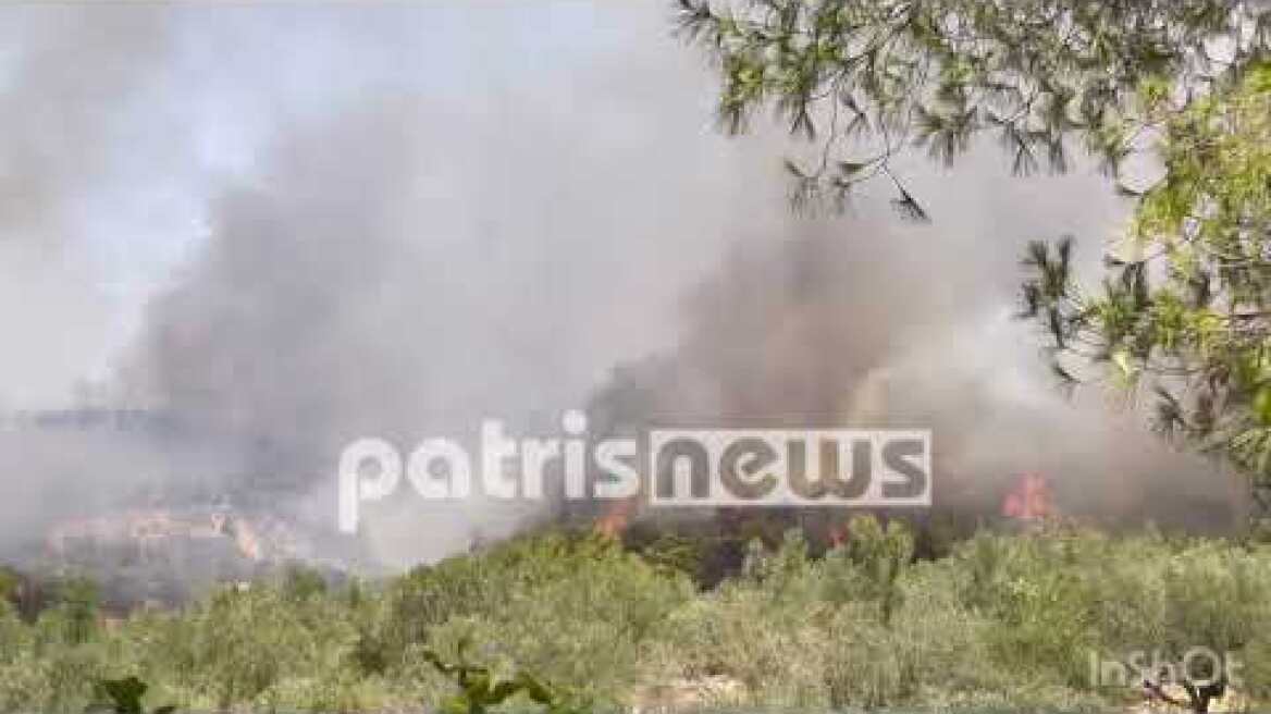 Πυρκαγιά στην Ηράκλεια Ηλείας