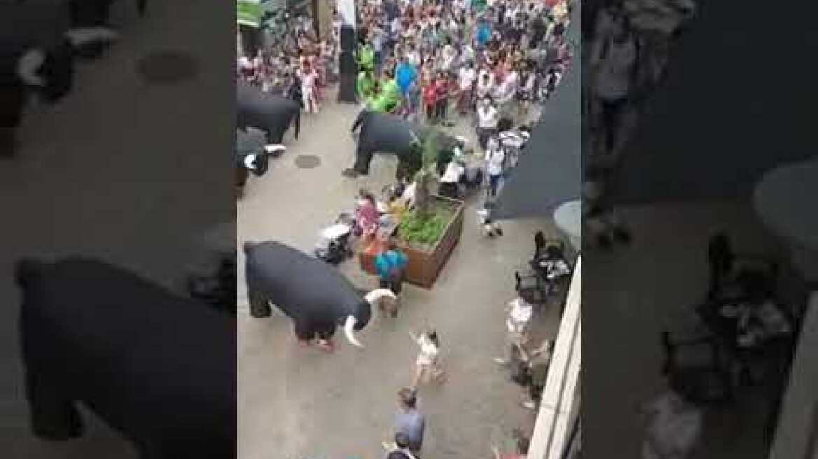 The running of the bulls in Spain the best way