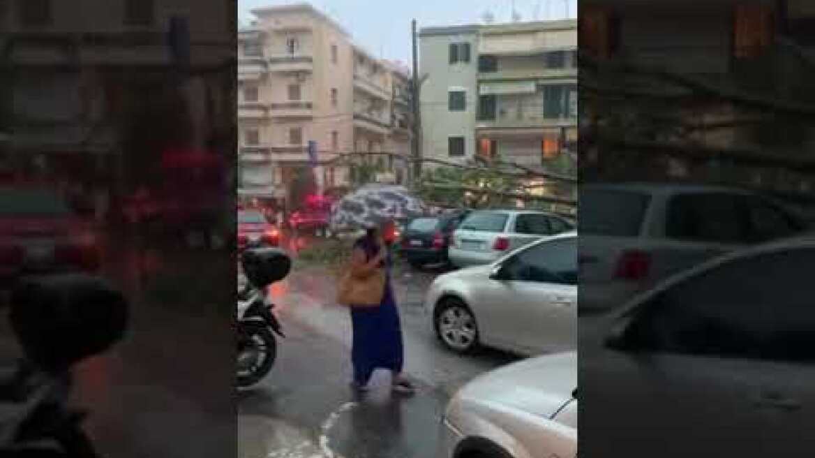 Πυροσβεστικη Ιόνιο πτώση δέντρου κερκυρα