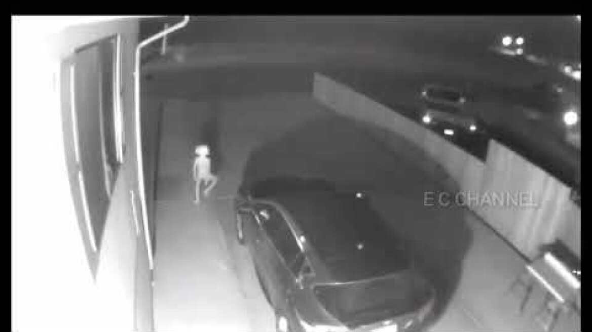 Horry Potter dobby found in CCTV footage