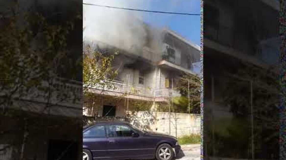 Μελίσσια καπνοί