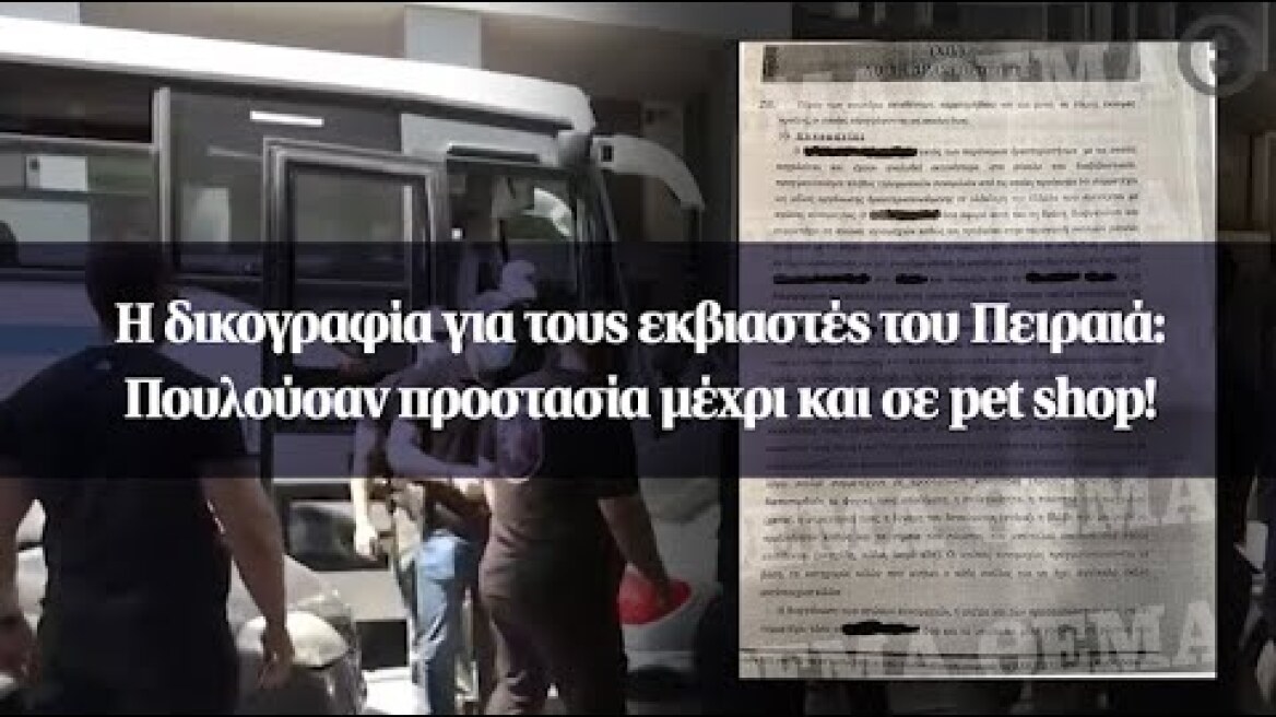 Η δικογραφία για τους εκβιαστές του Πειραιά: Πουλούσαν προστασία μέχρι και σε pet shop!
