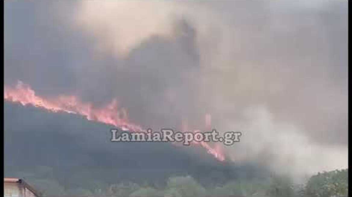 LamiaReport.gr: Μεγάλη δασική πυρκαγιά στη Μακρακώμη δίπλα στην εθνική οδό