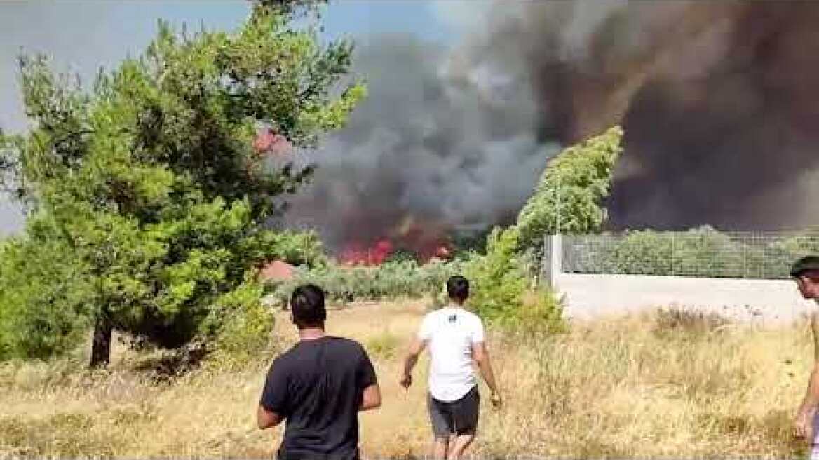 Μέγαρα: Ανεξέλεγκτη καίει η πυρκαγιά πλησιάζοντας σπίτια στον οικισμό Ζάχουλη κοντά στο Αλεποχώρι