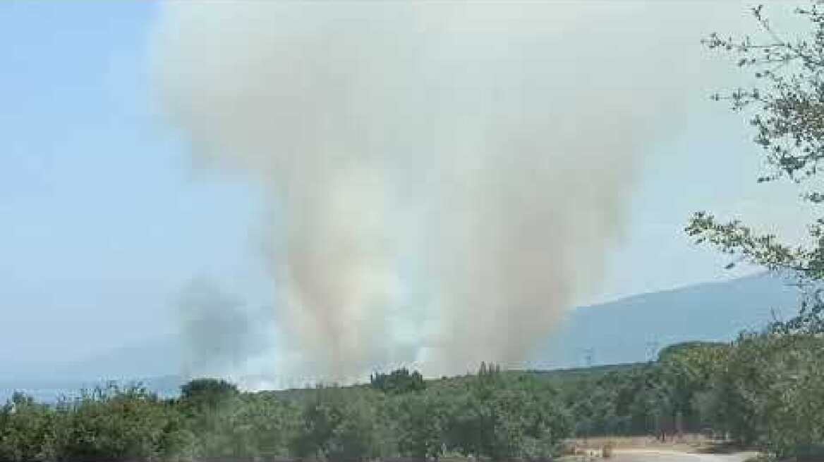 Πιερία: Φωτιά στην Πλάκα Λιτοχώρου