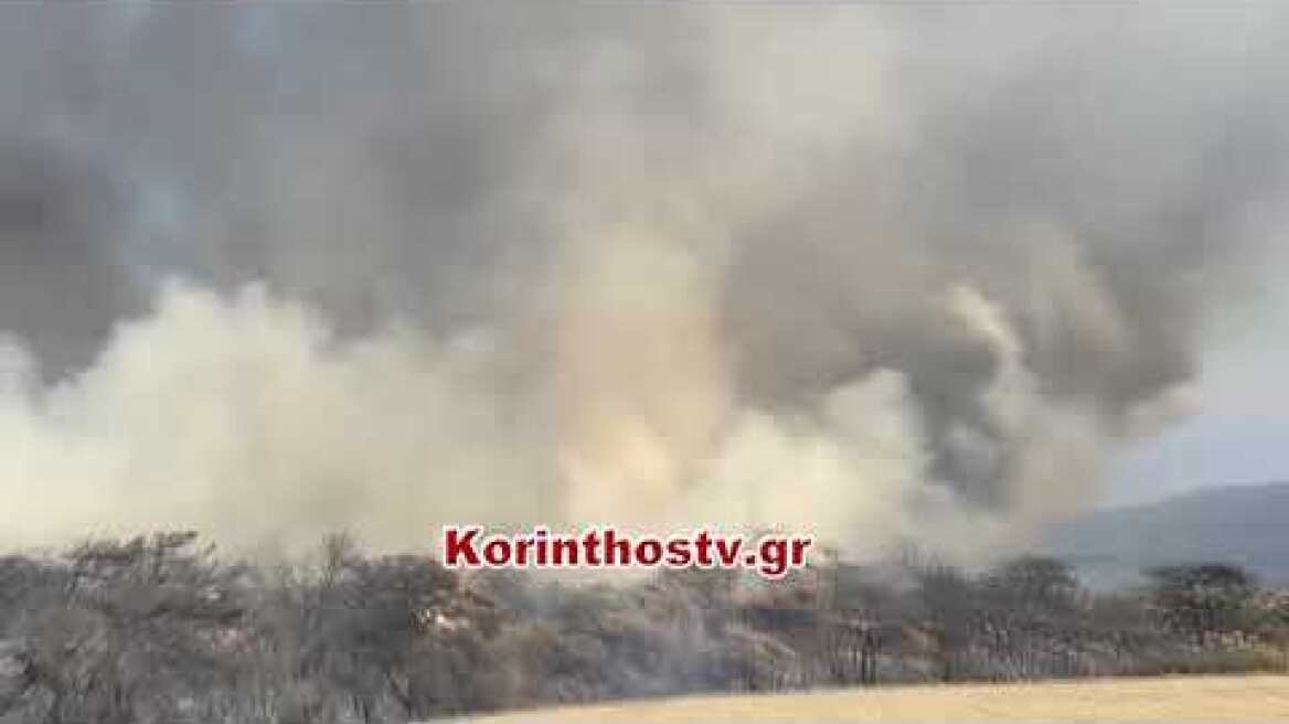 Εκκενώνεται ο οικισμός “Γλυκιά Ζωή” Αγίων Θεοδώρων