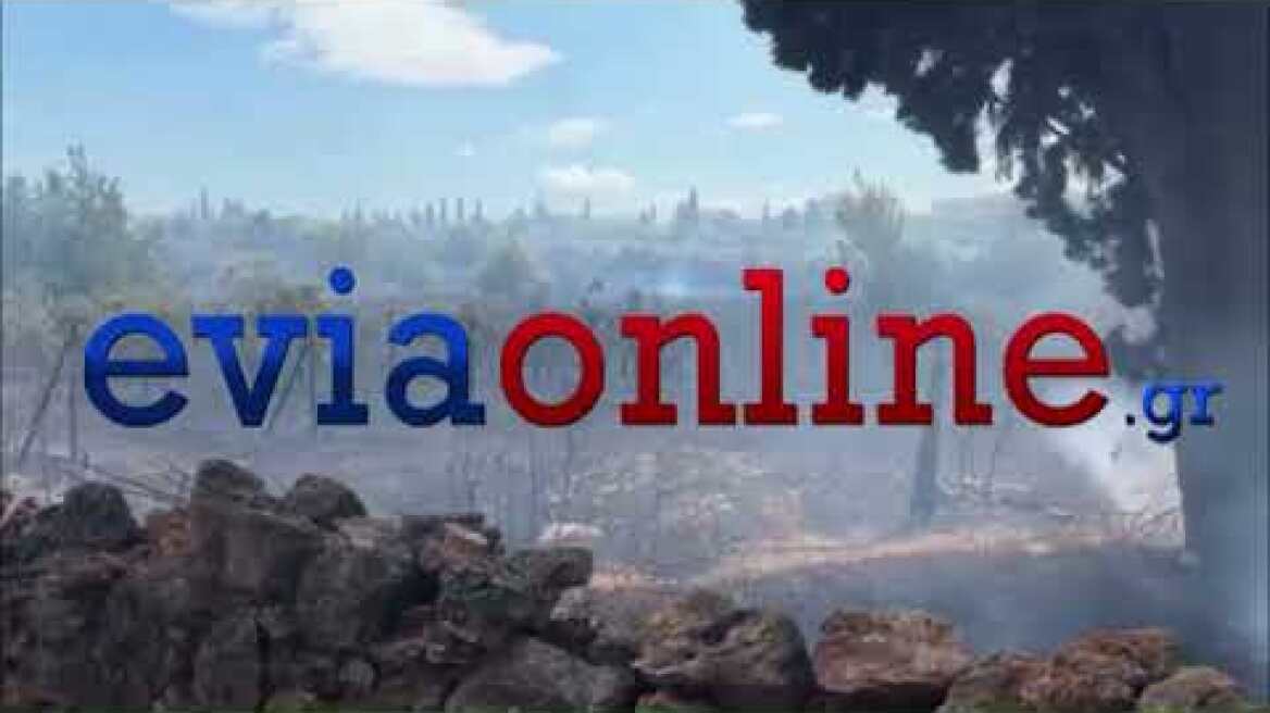 Χαλκίδα: Φωτιά ανάμεσα σε σπίτια