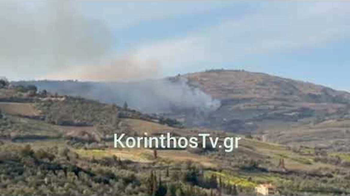 Φωτιά σε δασική έκταση στα Σοφιανά Κορινθίας