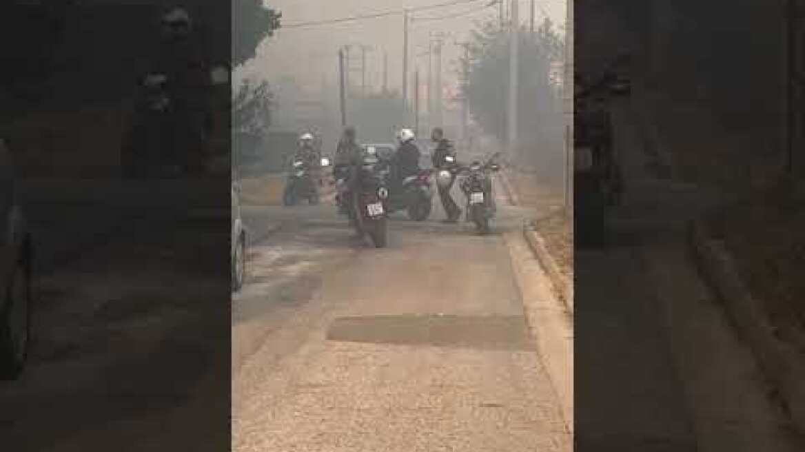 Φωτιά στα Βριλήσσια (8)