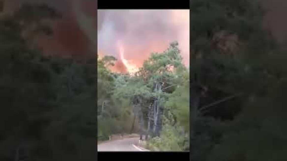 Φωτιά στη Ρόδο: Εκκενώνονται τρία χωριά και ένα ξενοδοχείο - Ανεξέλεγκτη η πυρκαγιά