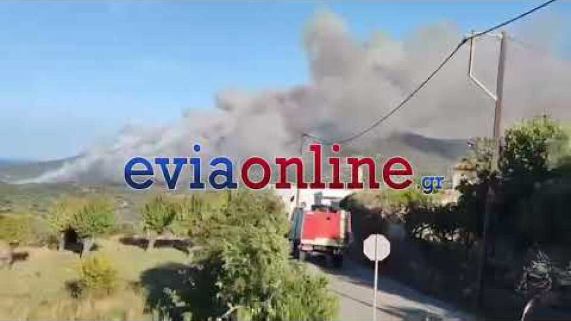 Νέες εικόνες από την φωτιά στην Εύβοια κοντά σε σπίτια