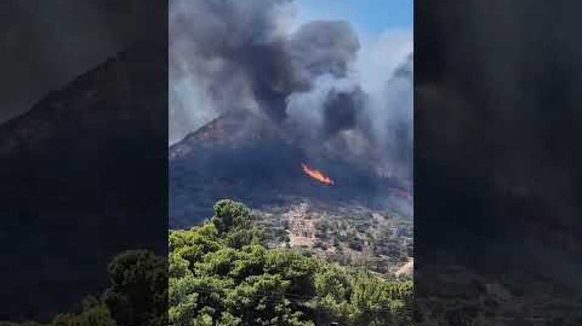 Φωτιά στο Κορωπί (3)