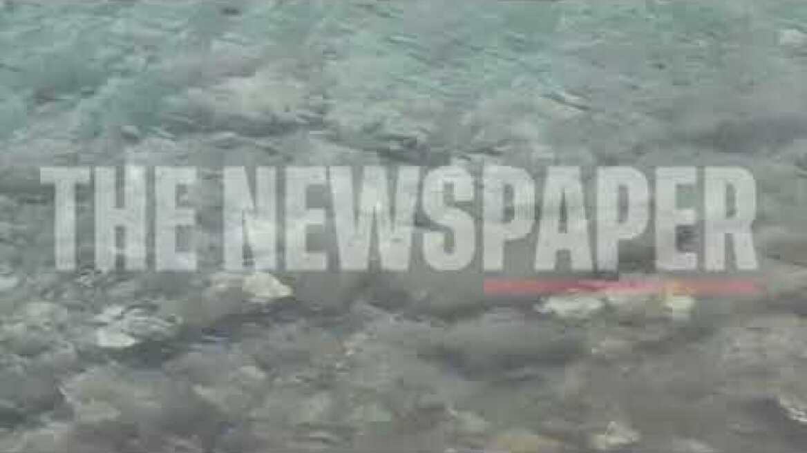 Χιλιάδες τσούχτρες εισβάλλουν στον Παγασητικό