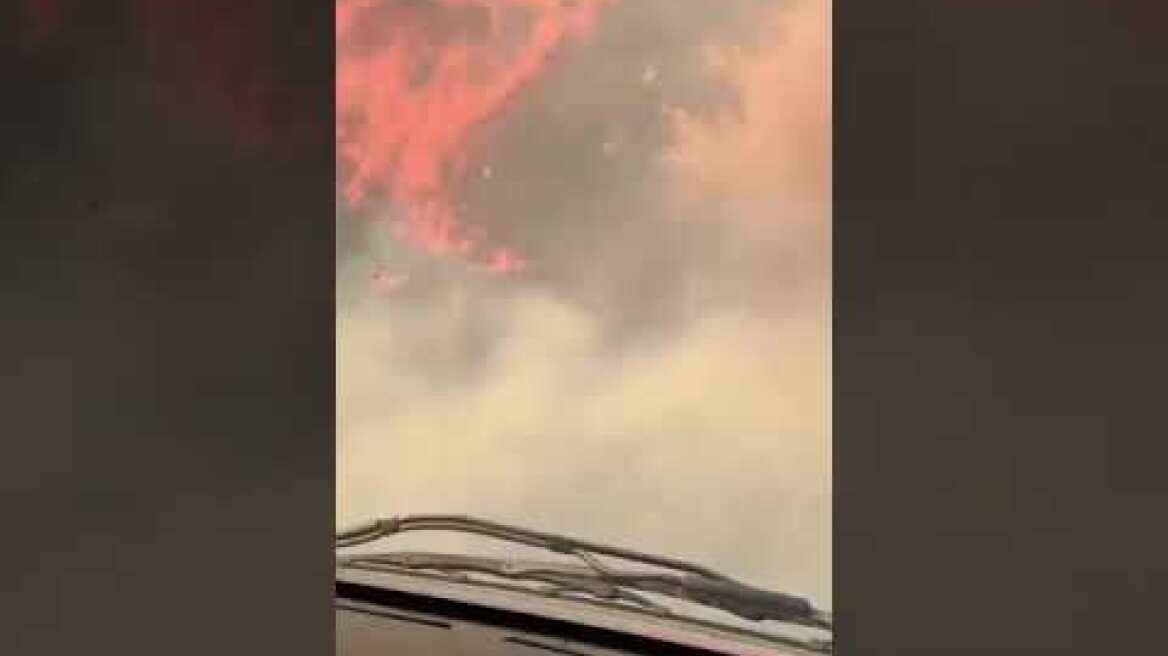 Γύθειο φωτιά (2)