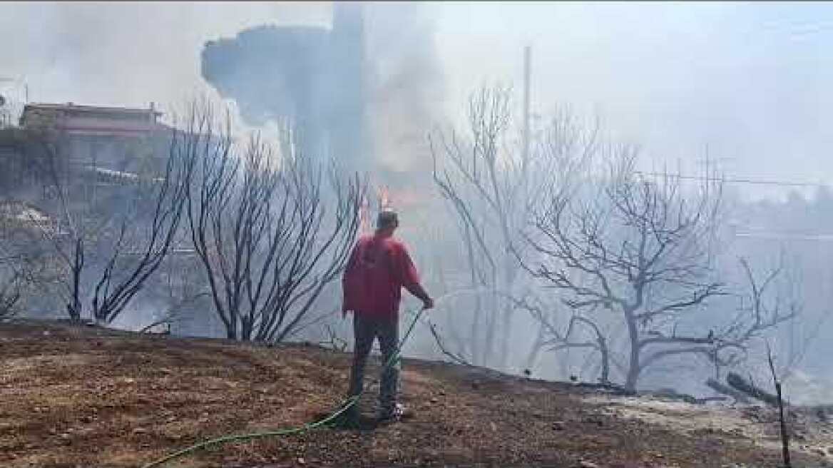 Φωτιά τώρα στην Παλαιά Φώκαια (13)