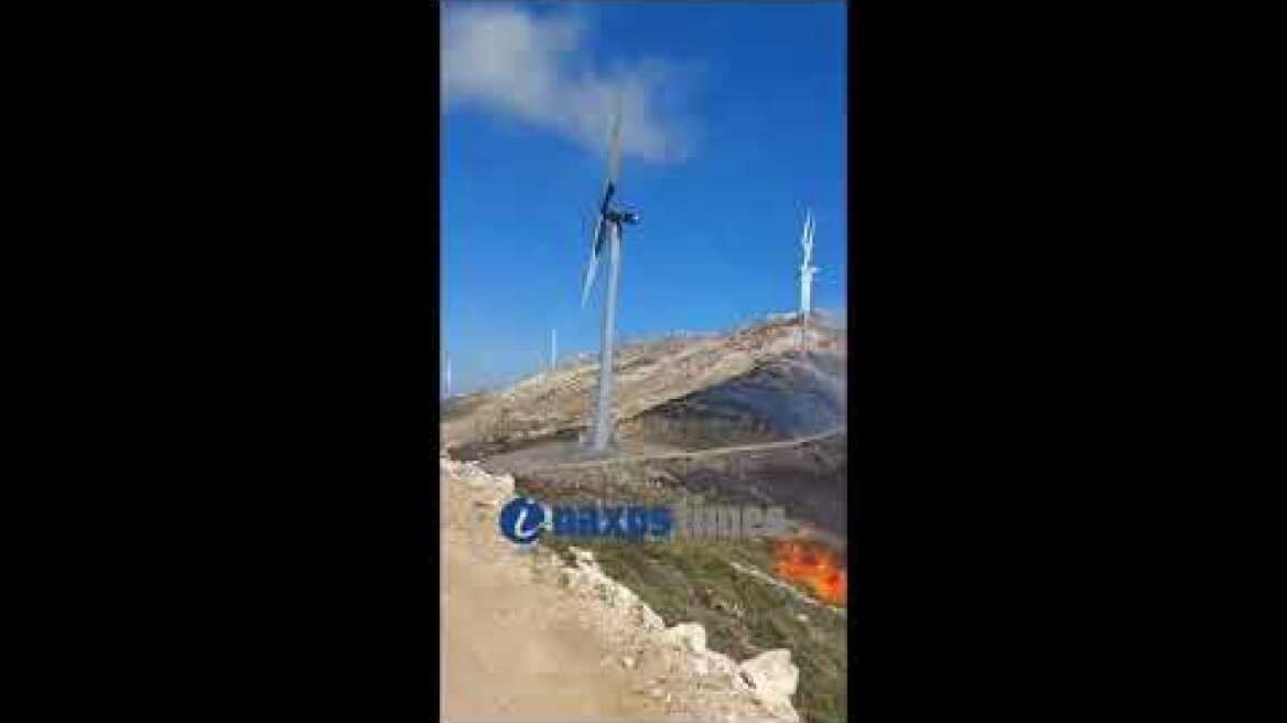 Φωτιά στην Κόρωνο της Νάξου