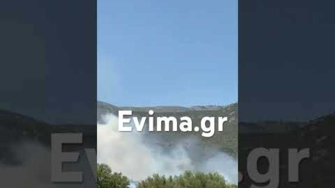 Μάχη με τις φλόγες στην Εύβοια