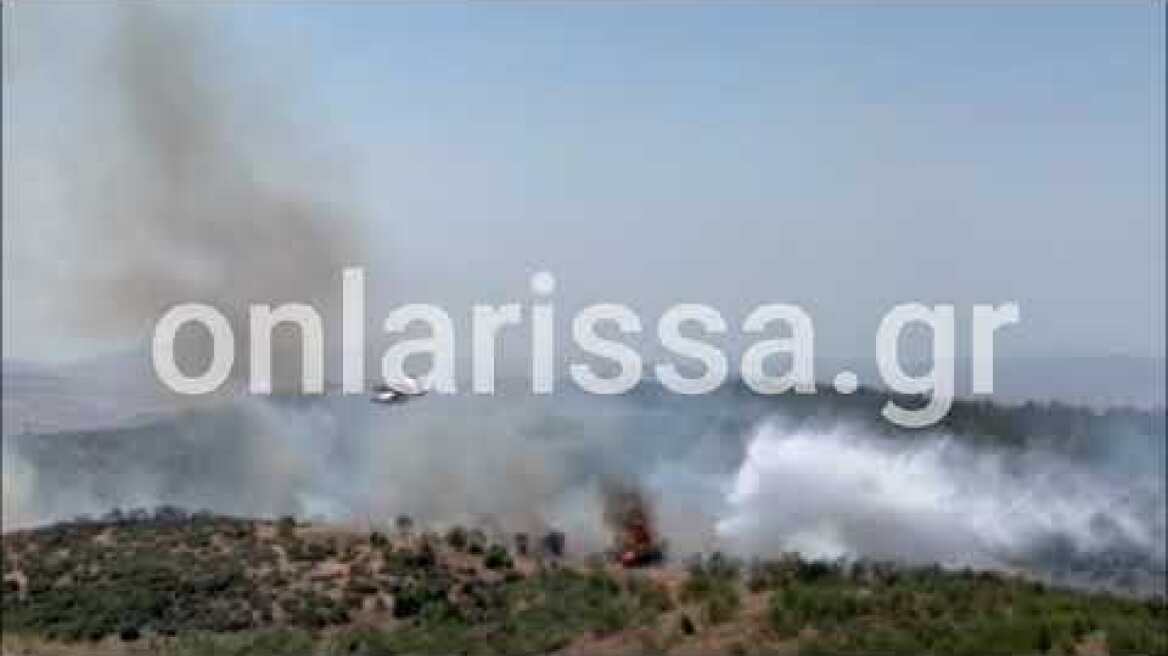 Φωτιά στην Αγία Τριάδα Φαρσάλων