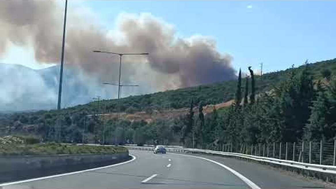 Φθιώτιδα : Πυρκαγιά  πάνω από το Αχλάδι- Επιχειρούν εναέρια μέσα