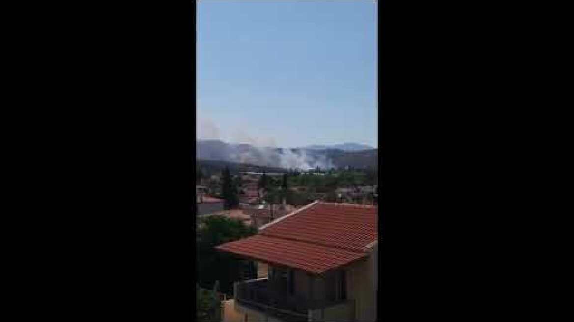 Οι πρώτες εικόνες από τη μεγάλη φωτιά στον Μαραθώνα