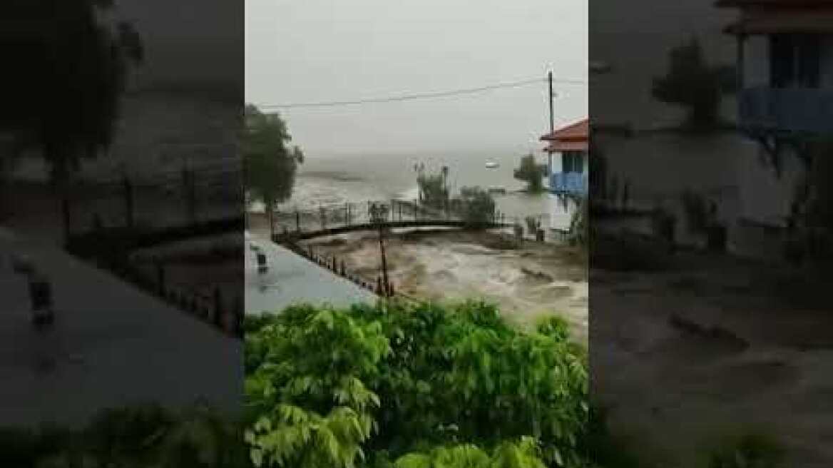 Συγκλονιστικό βίντεο από τον οικισμό Χόρτο