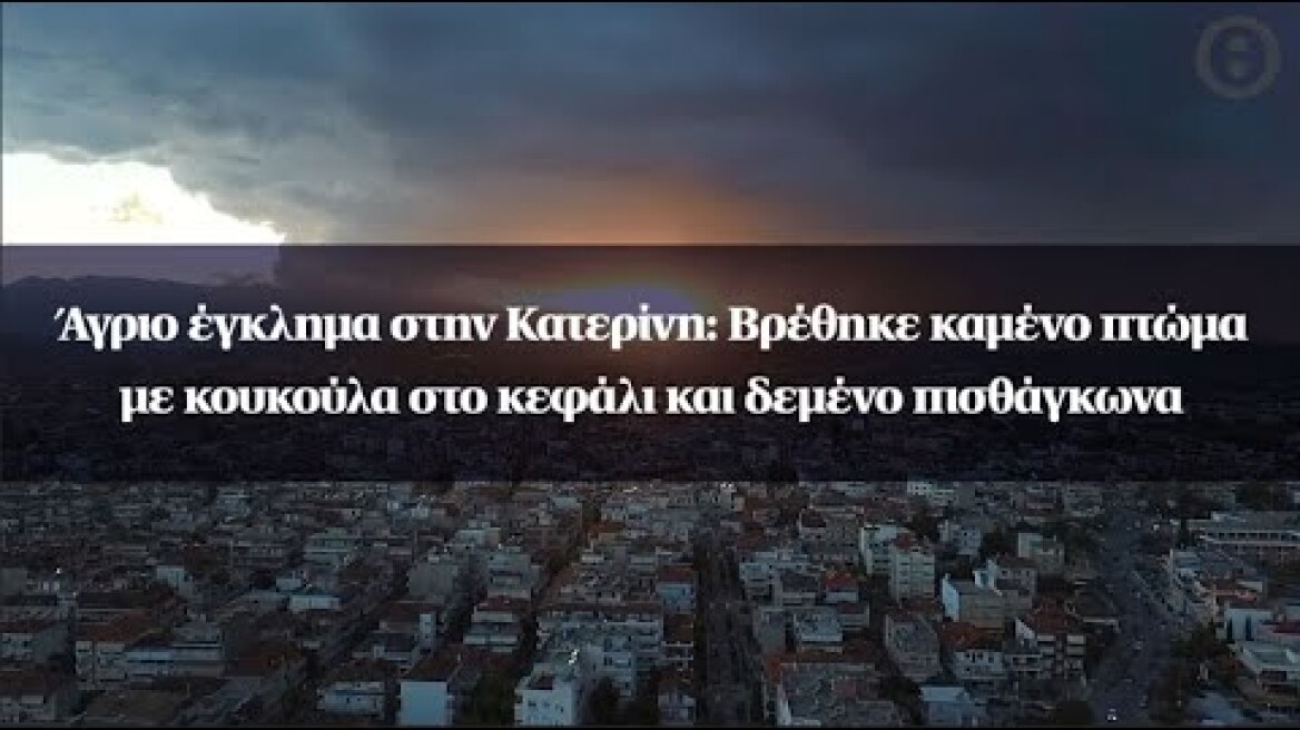 Άγριο έγκλημα στην Κατερίνη: Βρέθηκε καμένο πτώμα με κουκούλα στο κεφάλι και δεμένο πισθάγκωνα
