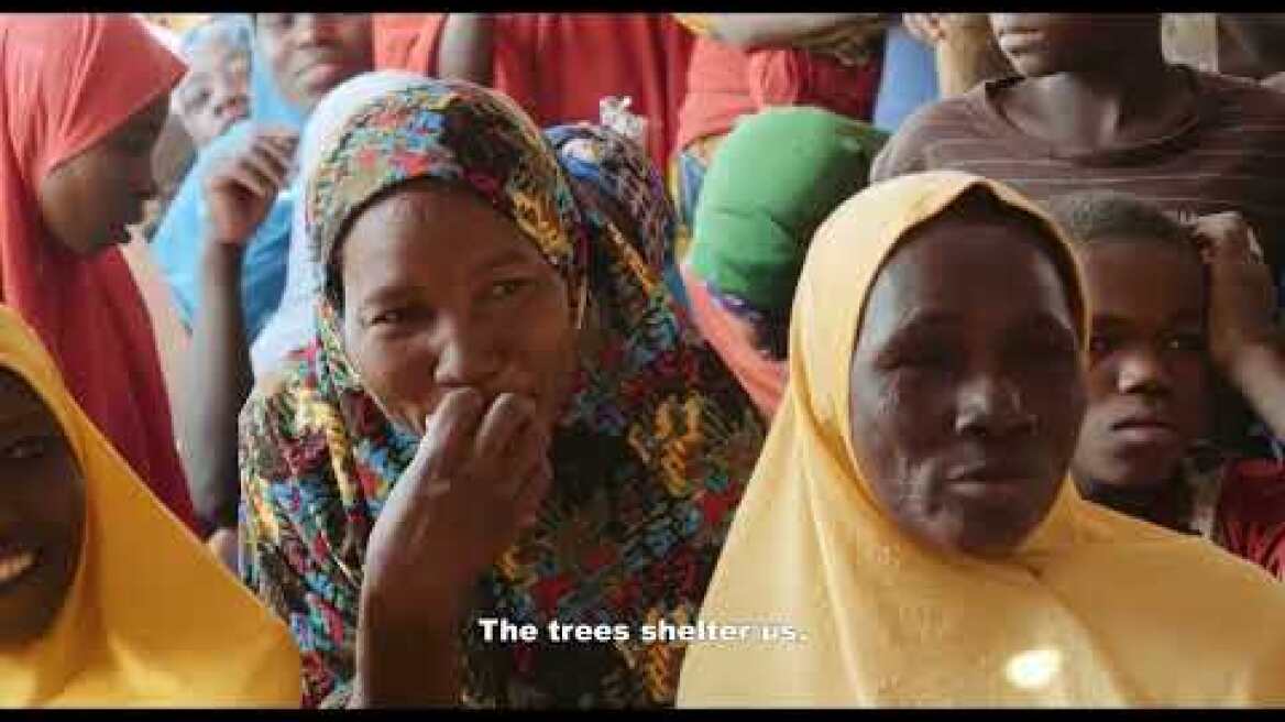 THE FOREST MAKER [EVIA FILM PROJECT]