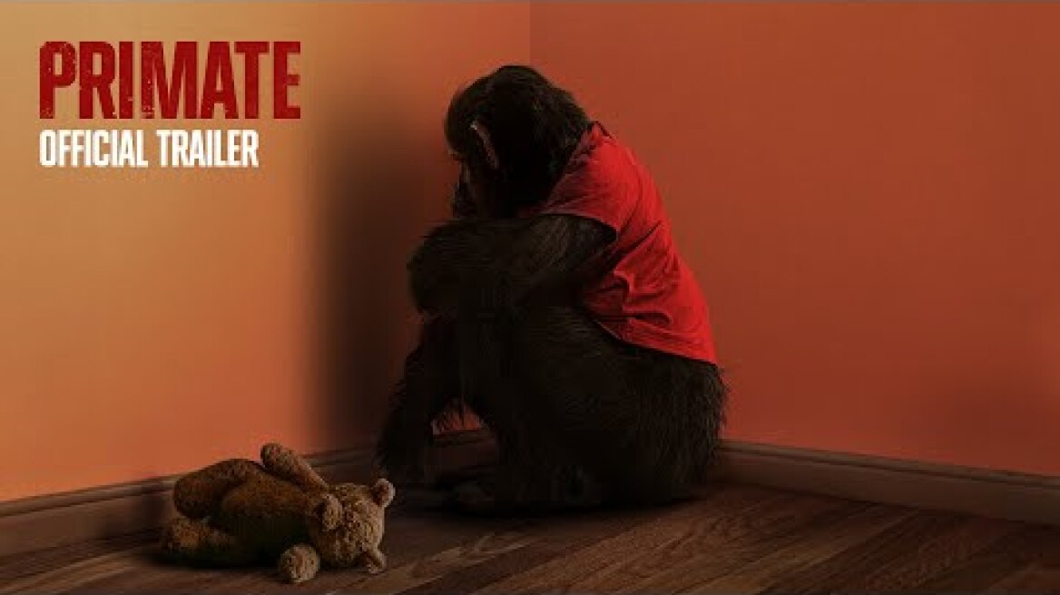 Primate | Official Trailer (2026 Movie) | Paramount Pictures Australia
