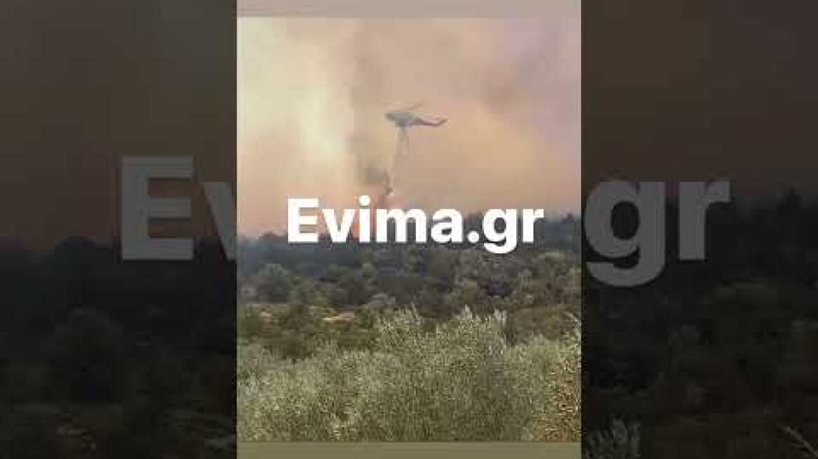Μεγάλη φωτιά στα Ψαχνά Εύβοιας