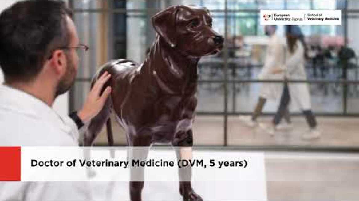 School of Veterinary Medicine