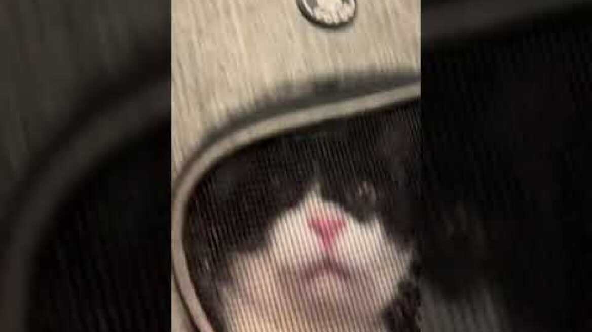 Σύγκρουση τρένων στα Τέμπη: Η Ευδοκία Τσαγκλή κάνει βόλτα στα βαγόνια με τον γάτο «Λου»