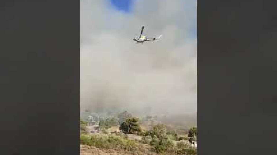 Φωτιά στην Πεντέλη (9)