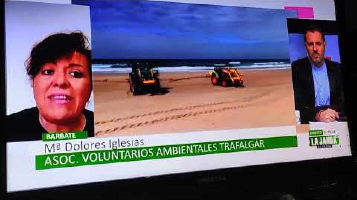 Fumigan la playa de Zahara de los Atunes
