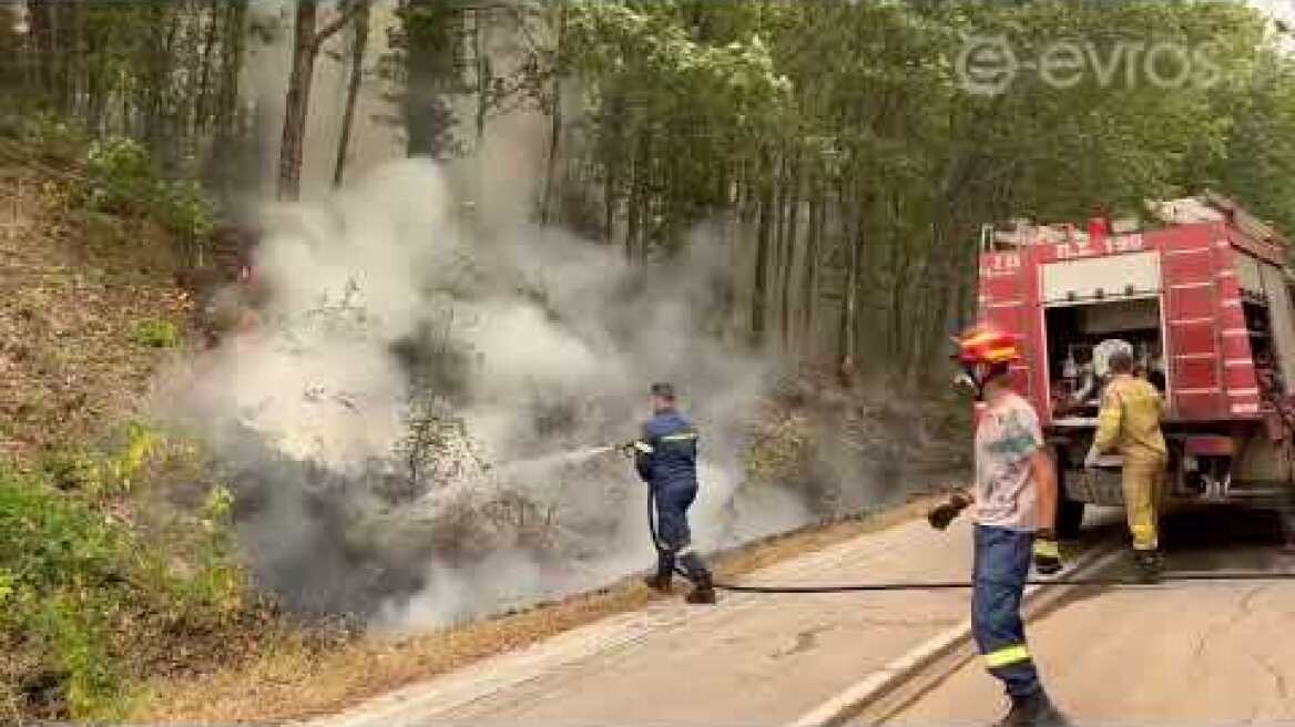 (15:30) Στιγμιότυπο που «κόβει την ανάσα» από κατάσβεση εστίας στα βουνά της Κίρκης