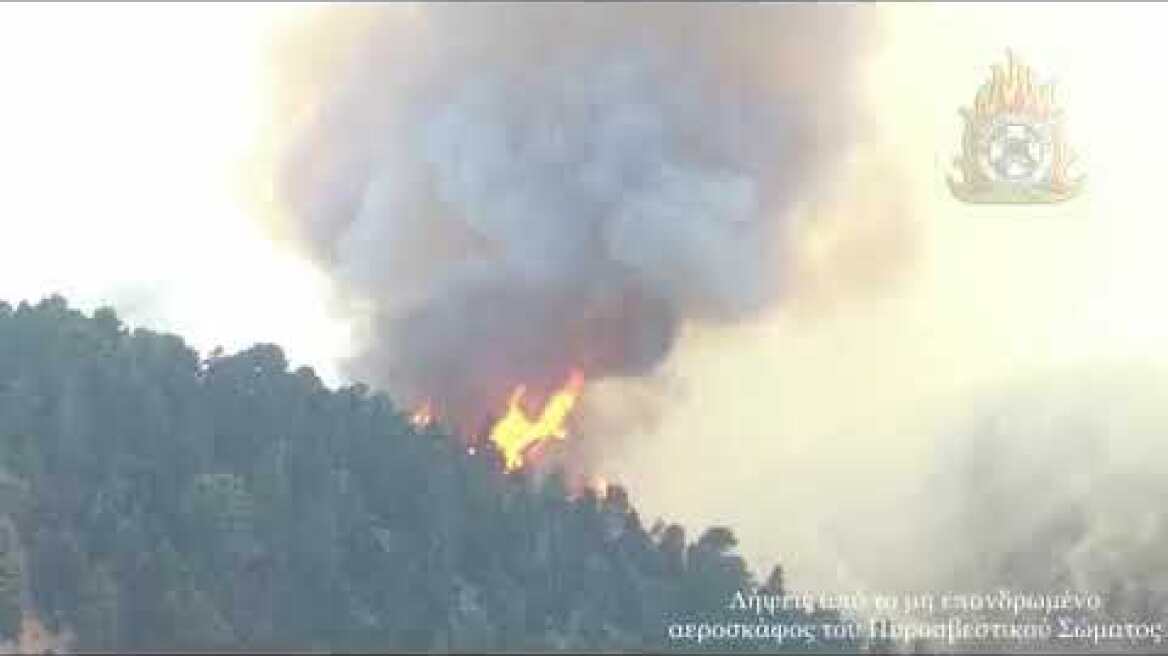 ΟΠΤΙΚΟ ΥΛΙΚΟ ΑΠΟ ΤΗ ΔΑΣΙΚΗ ΠΥΡΚΑΓΙΑ ΑΓΡΙΛΙΤΣΑ ΕΥΒΟΙΑΣ 2