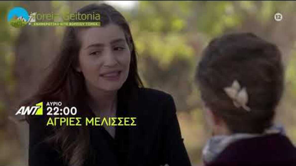 Άγριες Μέλισσες 15-12-2020