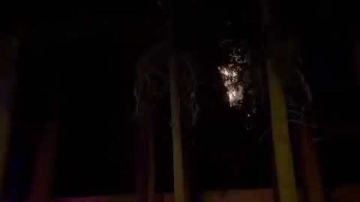 Φωτιά στο Σκοπευτήριο Καισαριανής (2)