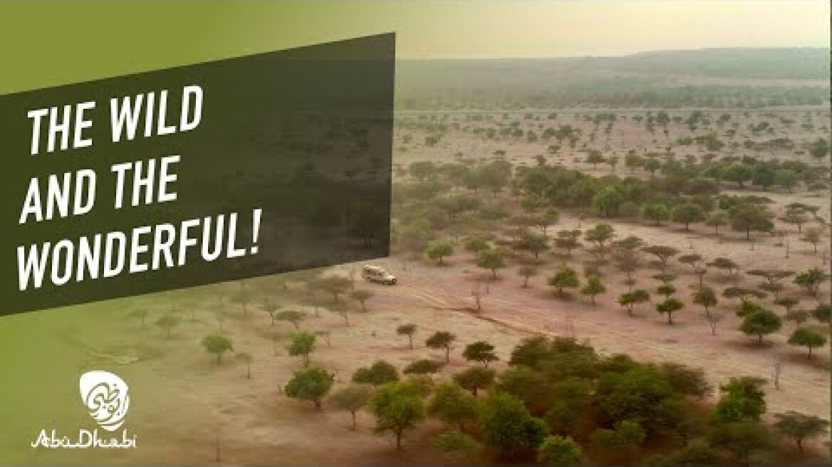 Sir Bani Yas Island’s Wildlife Park #InAbuDhabi | Discovery