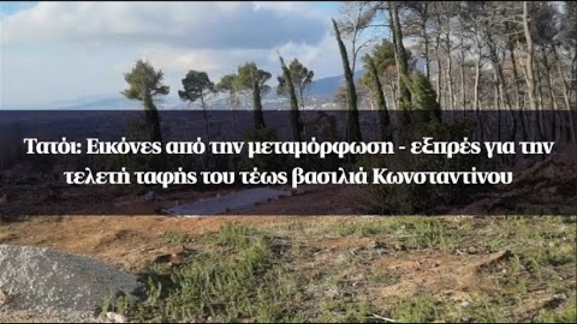 Τατόι: Εικόνες από την μεταμόρφωση - εξπρές για την τελετή ταφής του τέως βασιλιά Κωνσταντίνου