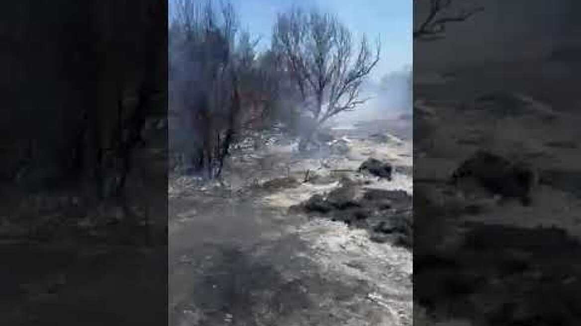 Η Αστυνομία στη φωτιά