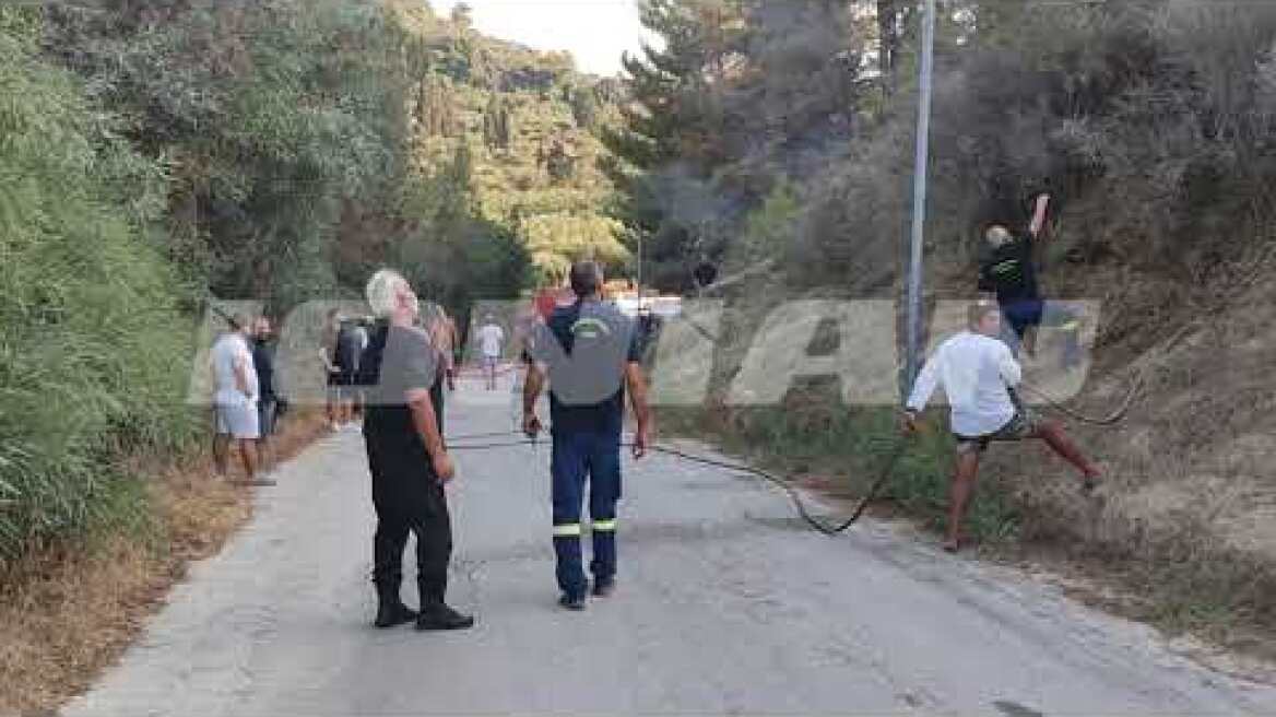 Ζάκυνθος | Φωτιά σε δασική έκταση στον Βασιλικό