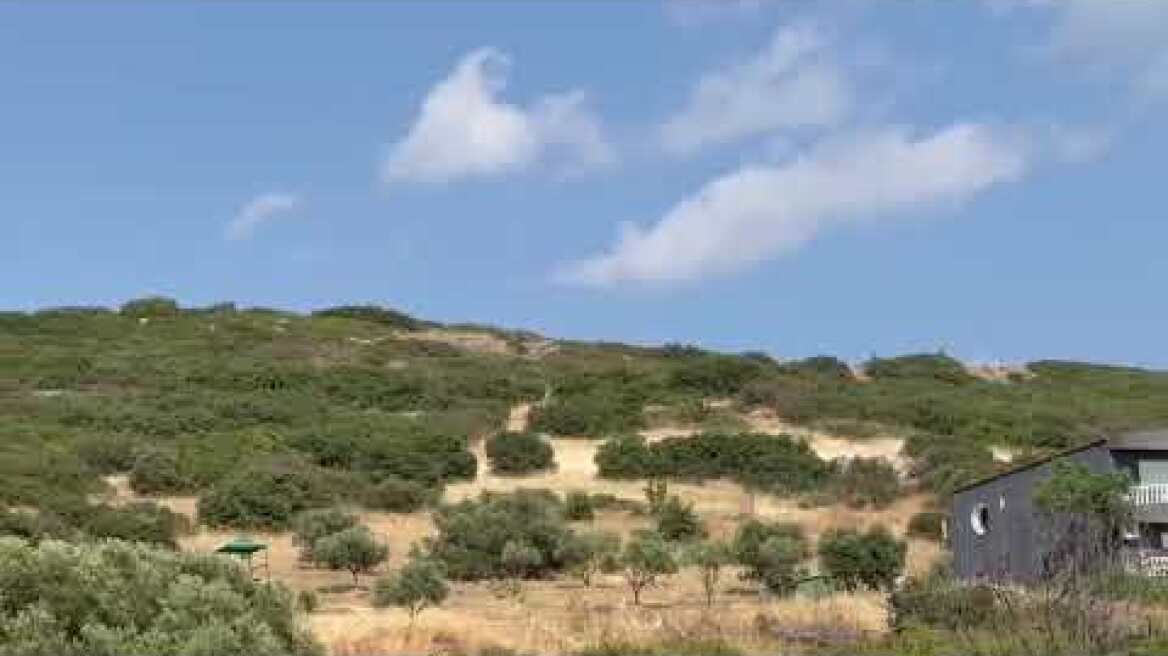 Φωτιά στην Ευκαρπία (3)