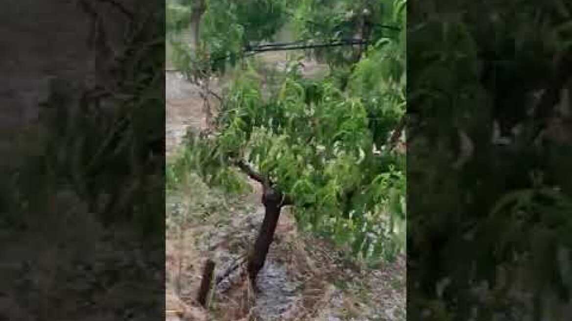 kozan.gr: Bελβεντό καταστροφή χαλαζόπτωση