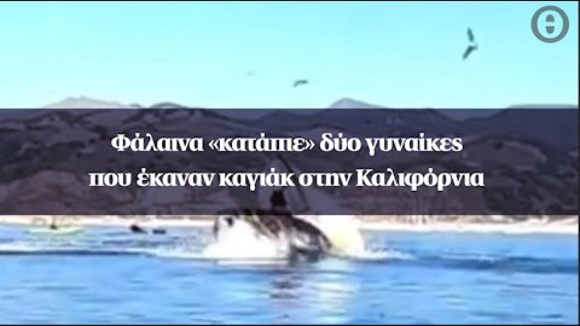 Φάλαινα «κατάπιε» δύο γυναίκες που έκαναν καγιάκ στην Καλιφόρνια