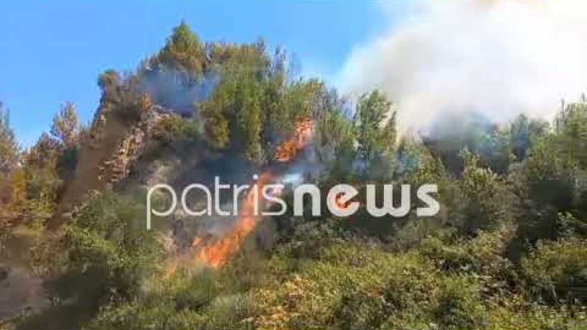 Μεγάλη πυρκαγιά στην Παλαιοβαρβάσαινα