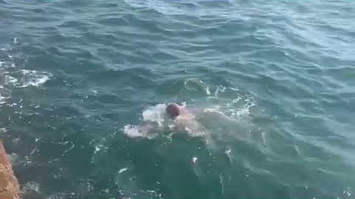 Θεσσαλονίκη: Τουρίστες έκαναν... μακροβούτια στα νερά του Θερμαϊκού