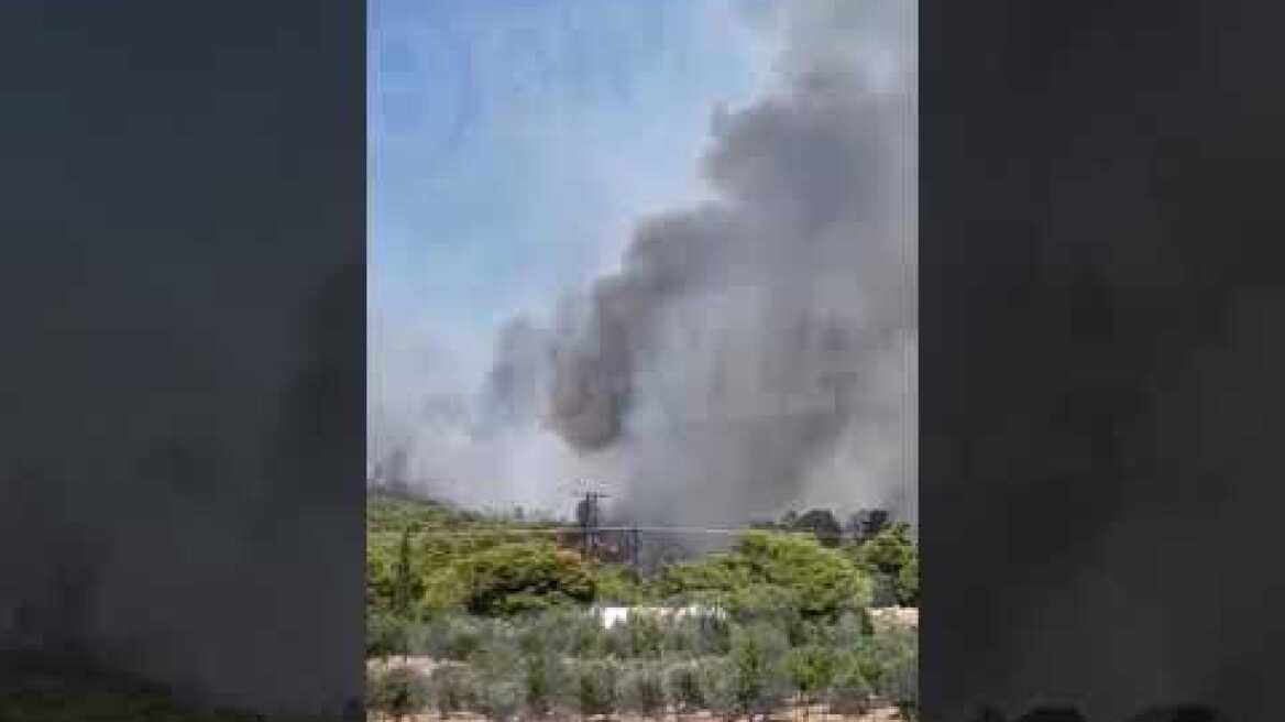 Φωτιά στον Κουβαρά (5)