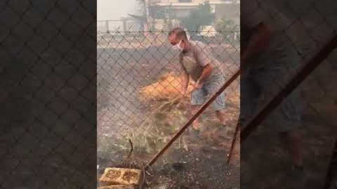 Φωτιά στα Βριλήσσια (6)