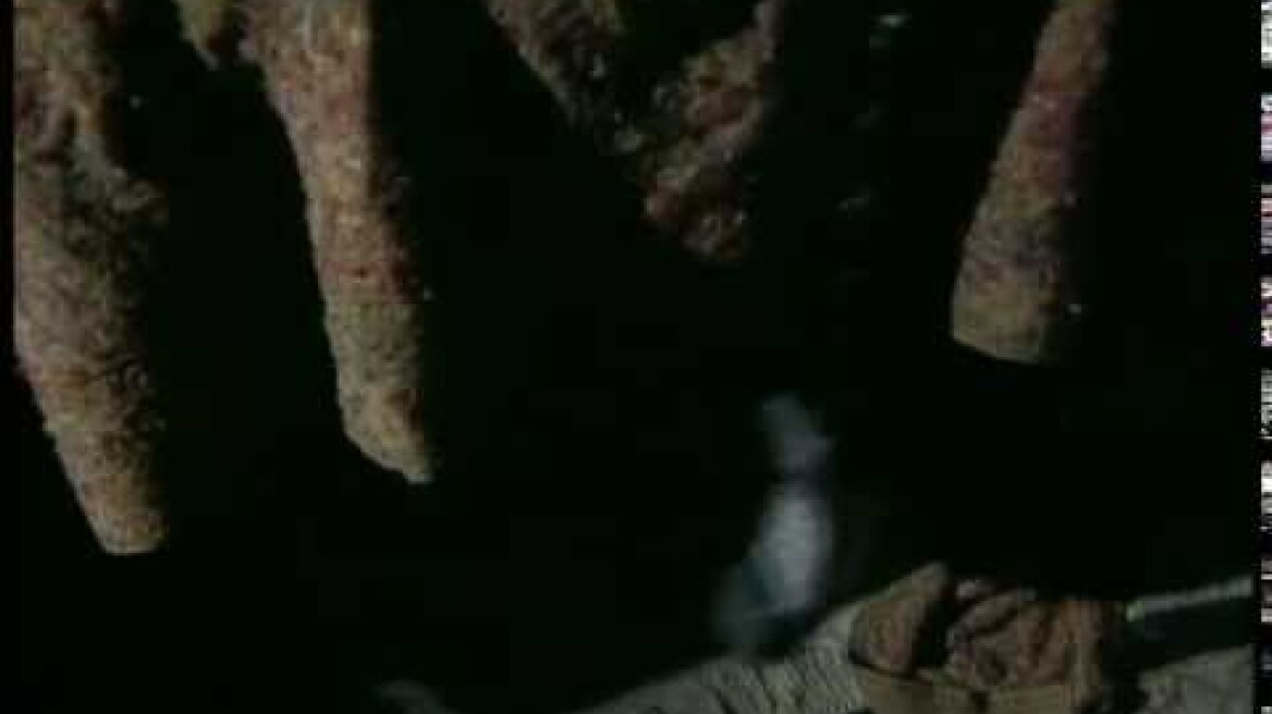 Χρήστος Κυριαζής - Επιμένω - Official Video Clip